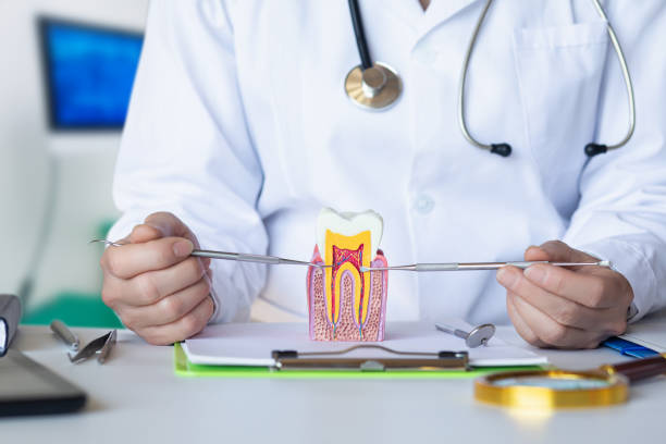 Best Same-Day Emergency Dentist in Seven Points, TX